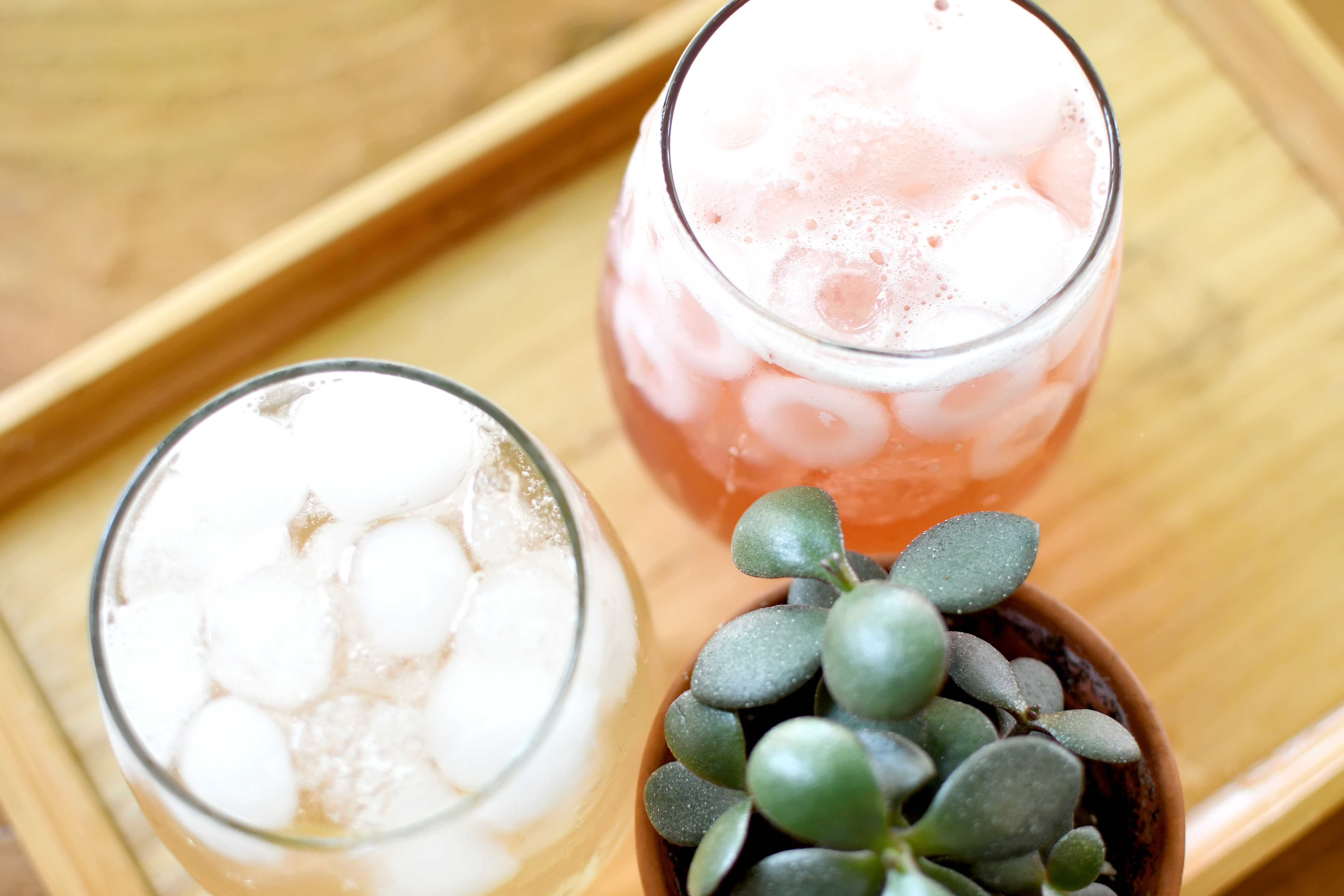 icedtea-ontray-withplant
